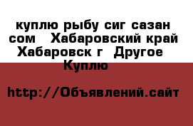 куплю рыбу сиг,сазан,сом - Хабаровский край, Хабаровск г. Другое » Куплю   